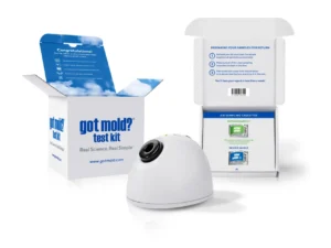 Got mold test kit 1