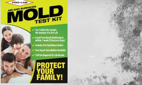 Prolab test kit