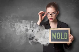 DALL·E 2025-01-19 17.00.02 - A feature image for a tool called 'Assessment Mold Tool'. The image showcases a modern, clean home interior wi