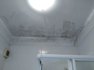 tinywow_image-008_71362797