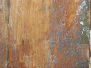 tinywow_image-027_71364516